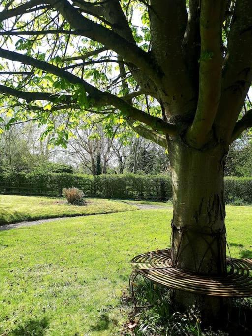 Host & Stay - Clara Cottage Bretforton Eksteriør bilde