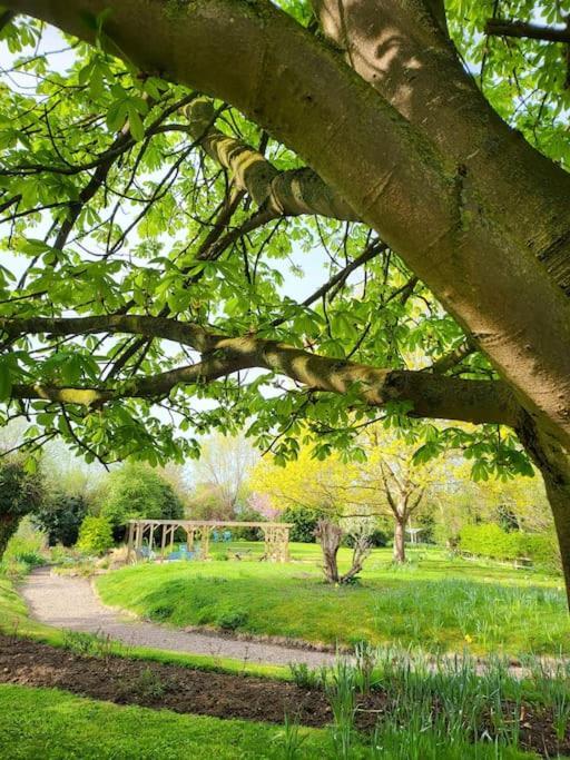 Host & Stay - Clara Cottage Bretforton Eksteriør bilde