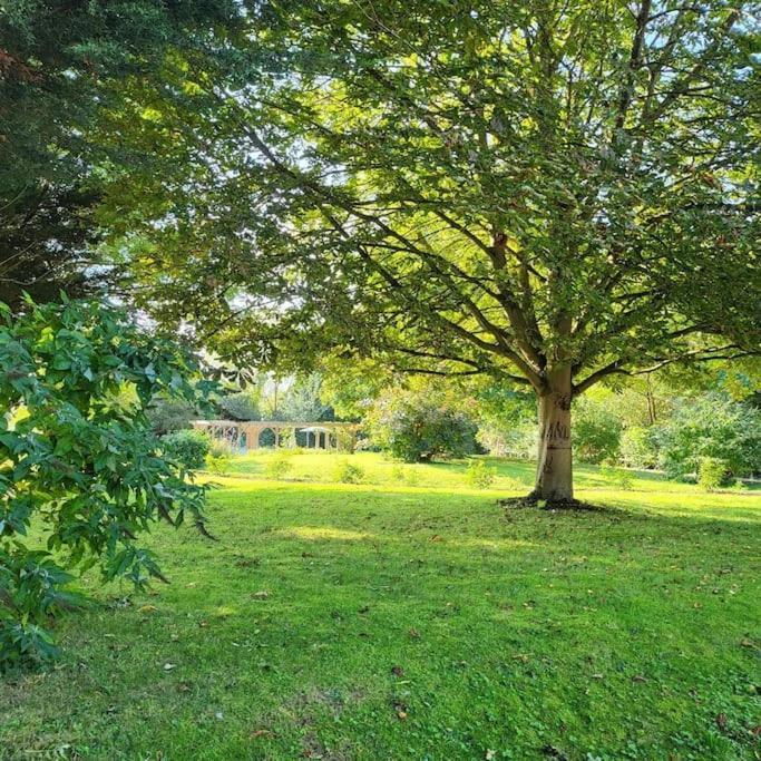 Host & Stay - Clara Cottage Bretforton Eksteriør bilde